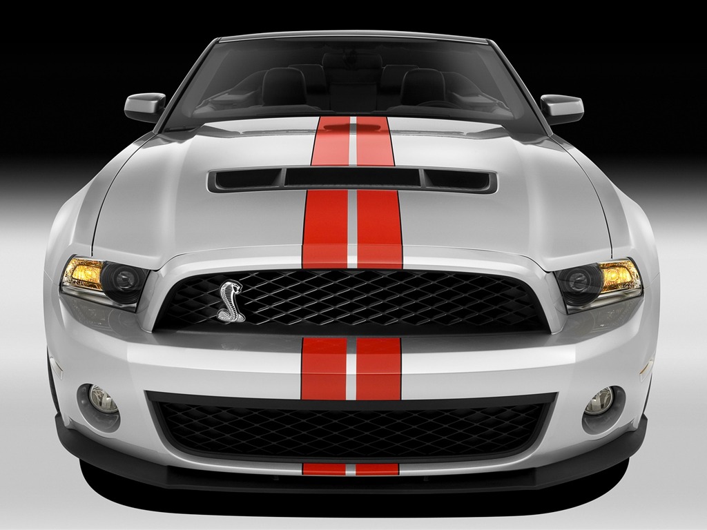 Ford Mustang GT500 Wallpapers #3 - 1024x768