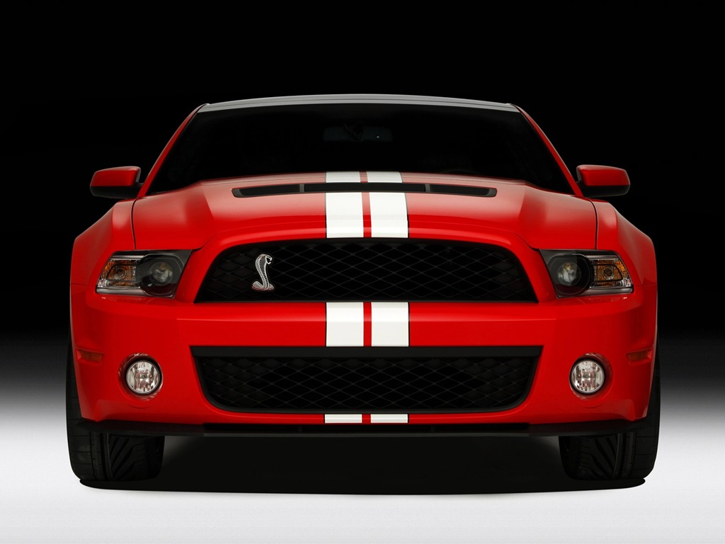 Ford Mustang GT500 Wallpapers #5 - 1024x768