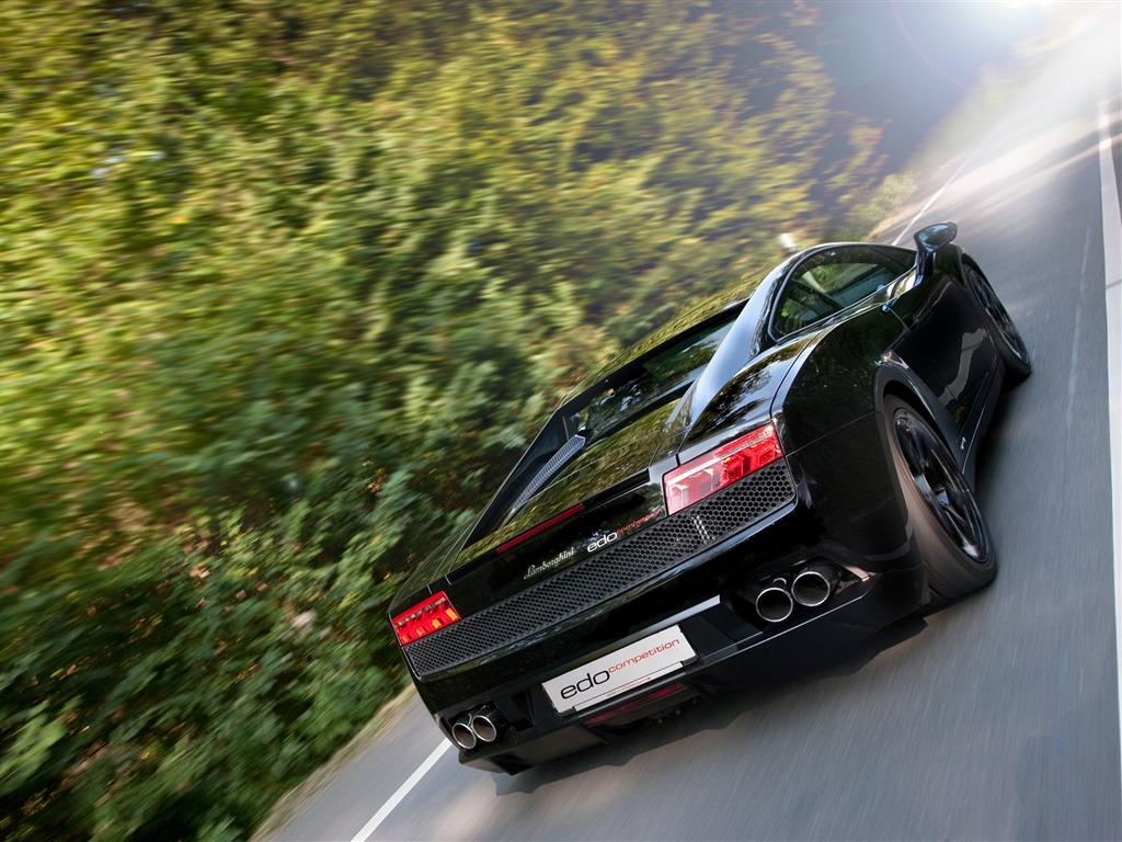 2010 Lamborghini обои #16 - 1024x768