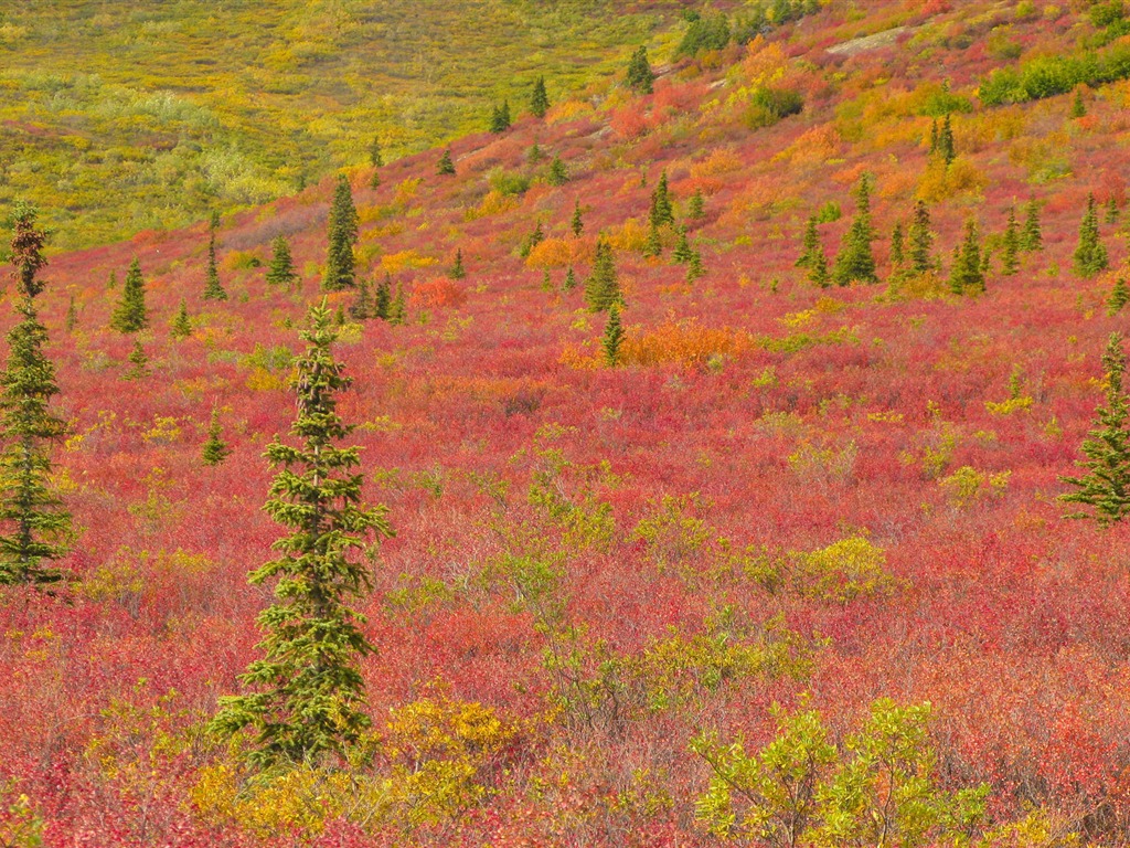 Fondos de escritorio de paisajes de Alaska (2) #2 - 1024x768