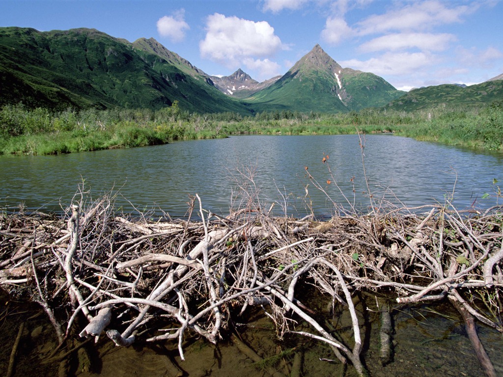 Fondos de escritorio de paisajes de Alaska (2) #9 - 1024x768
