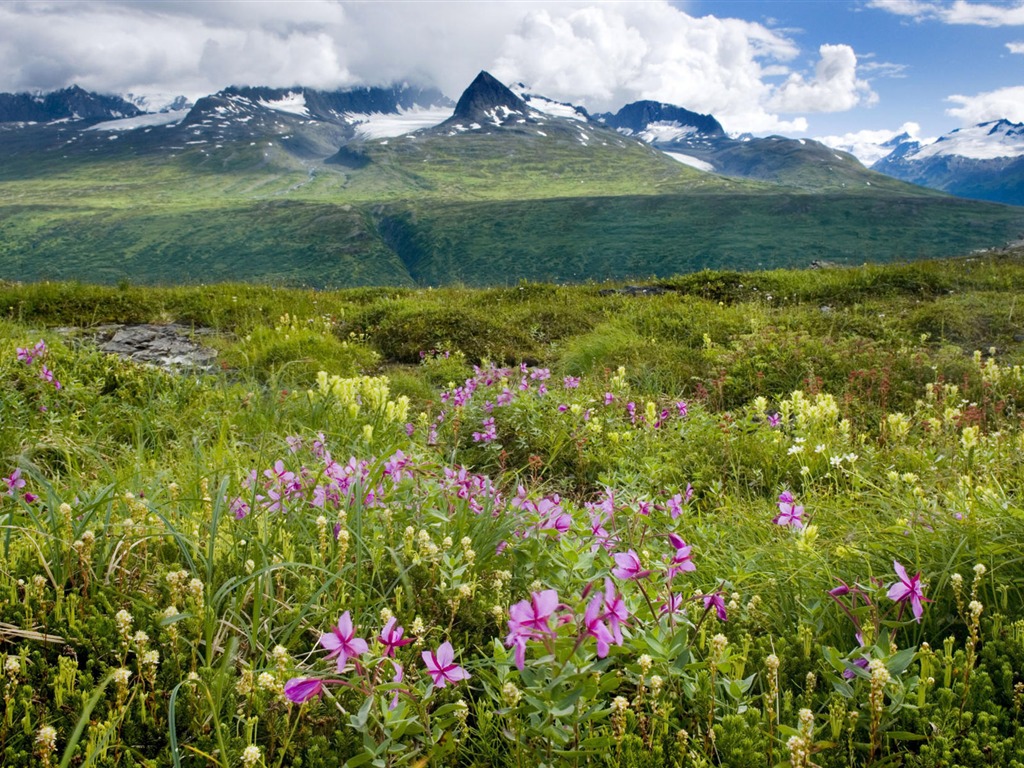 Fondos de escritorio de paisajes de Alaska (2) #12 - 1024x768
