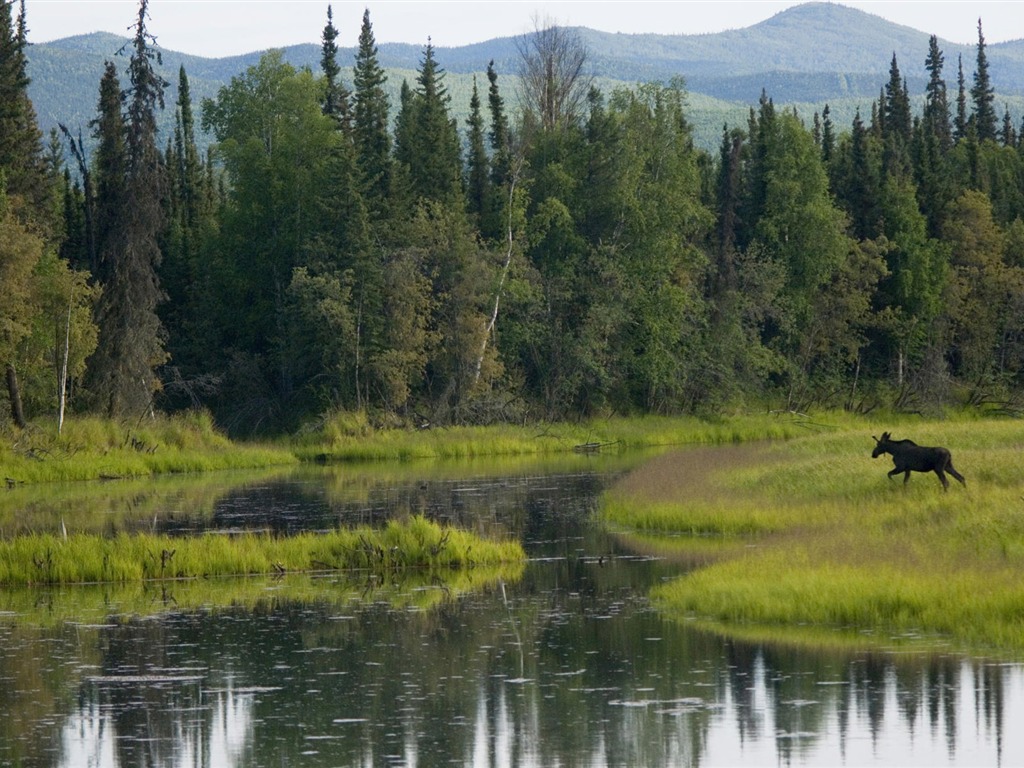 Fondos de escritorio de paisajes de Alaska (2) #14 - 1024x768