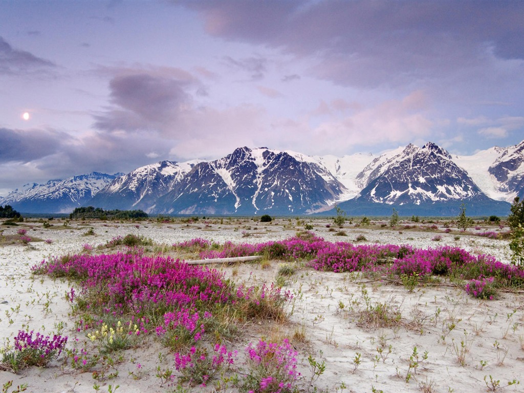 Alaska scenery wallpaper (2) #18 - 1024x768