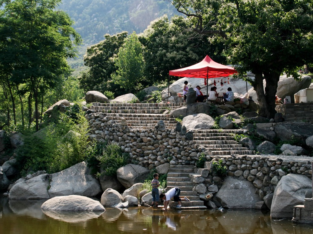 Lugar de nacimiento de montaña Song (Minghu obras Metasequoia) #5 - 1024x768