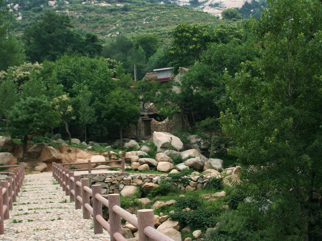 Lugar de nacimiento de montaña Song (Minghu obras Metasequoia) #6 - 1024x768