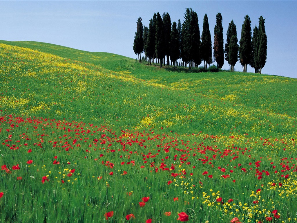 Italienische Landschaft Wallpaper (1) #19 - 1024x768