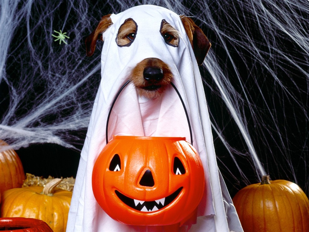 Fonds d'écran thème de l'Halloween (1) #1 - 1024x768