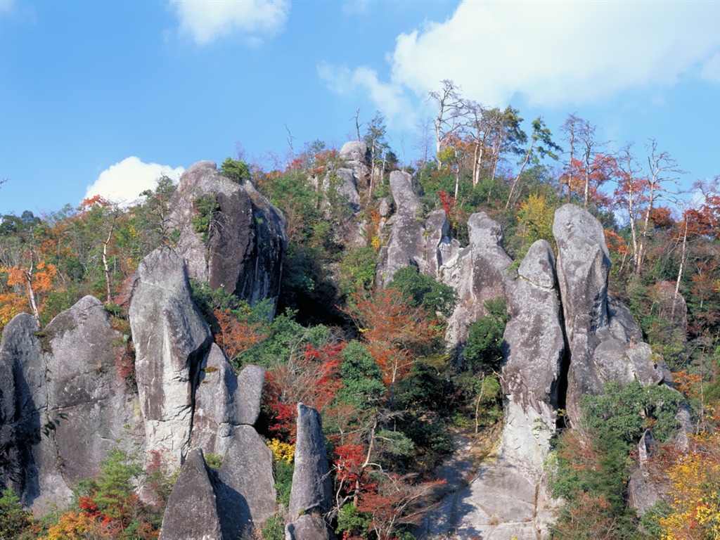 Fonds d'écran au paysage japonais #16 - 1024x768