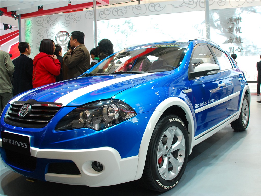 Beijing 2010 Salón Internacional del Automóvil (1) (z321x123 obras) #21 - 1024x768