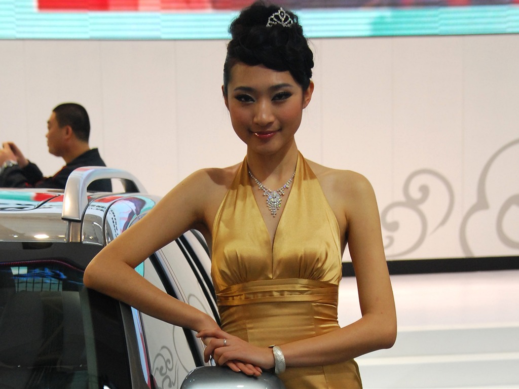 2010 Beijing International Auto Show (2) (z321x123 works) #6 - 1024x768