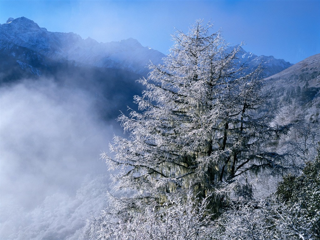 冬天雪景壁纸3 - 1024x768