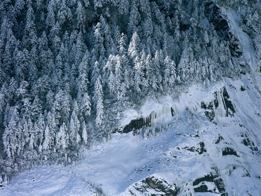 冬天雪景壁纸5 - 1024x768
