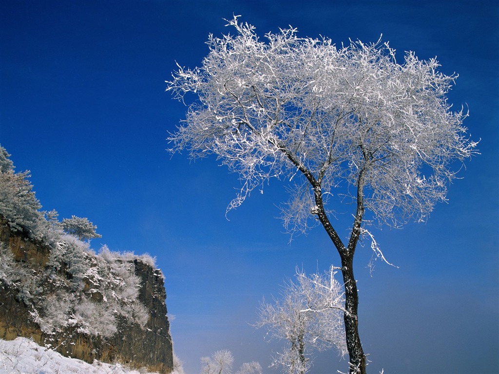 冬天雪景壁纸9 - 1024x768