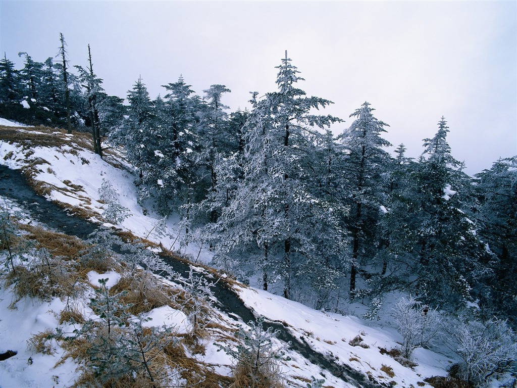 冬天雪景壁纸13 - 1024x768