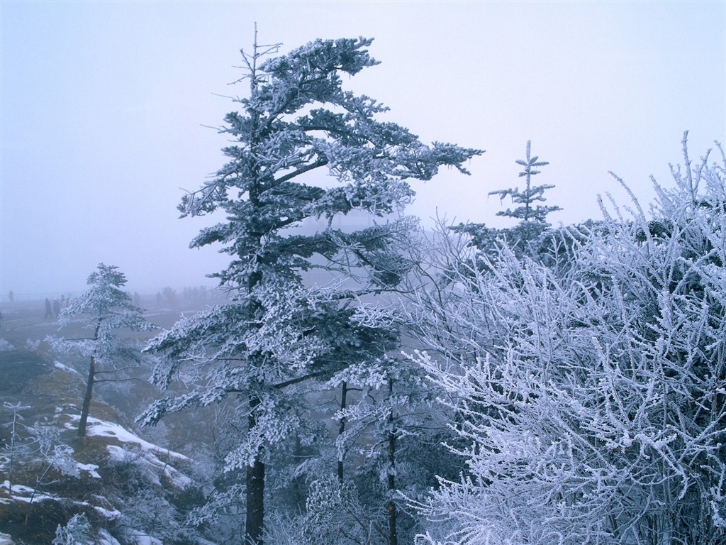 冬天雪景壁纸15 - 1024x768