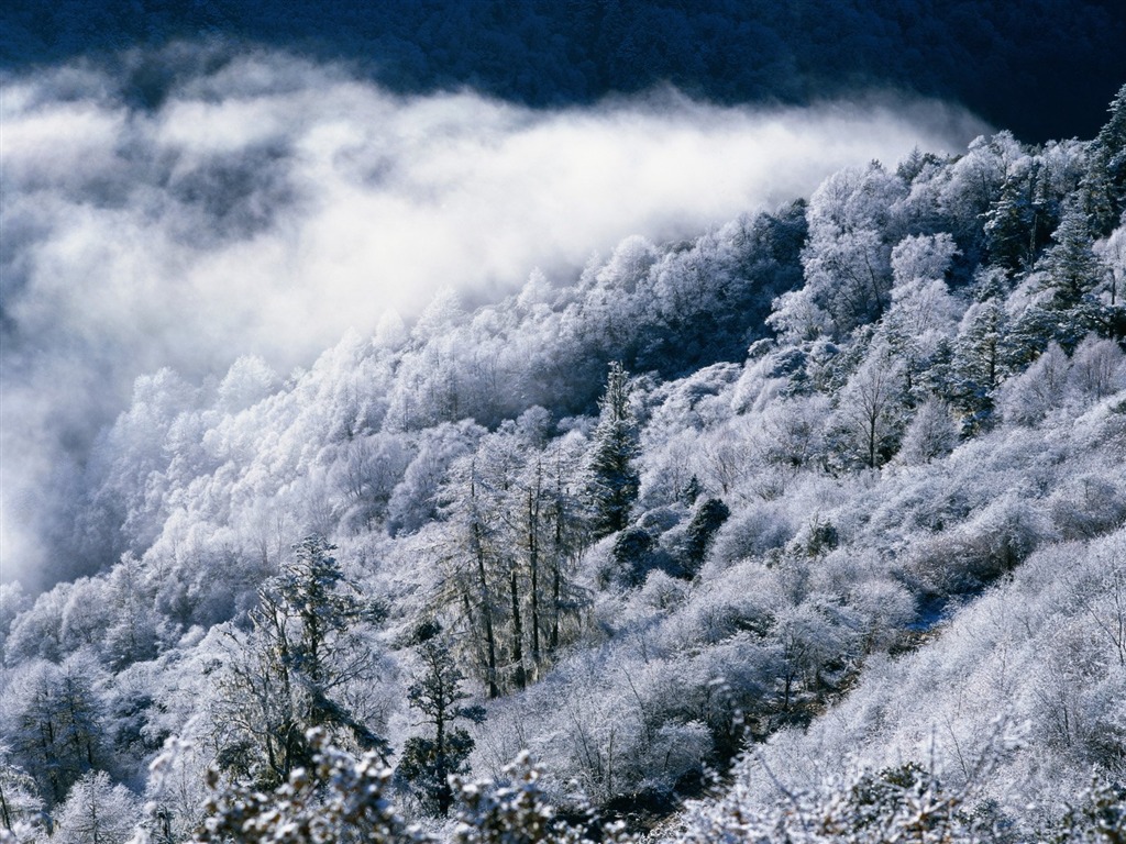 冬天雪景壁纸28 - 1024x768