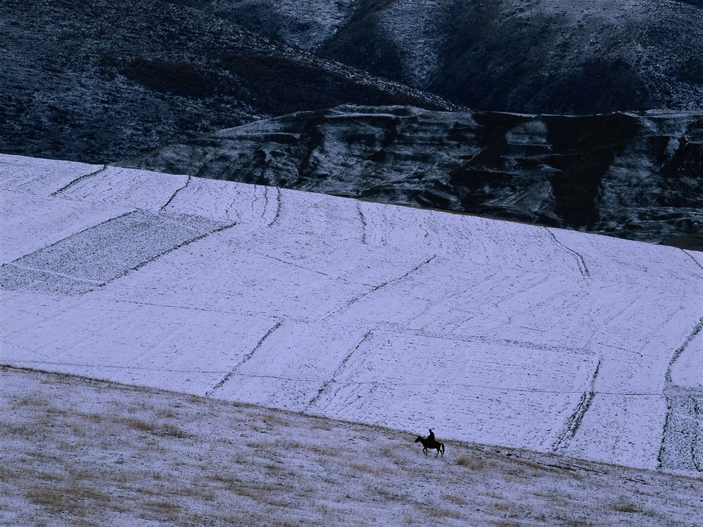 冬天雪景壁紙 #32 - 1024x768