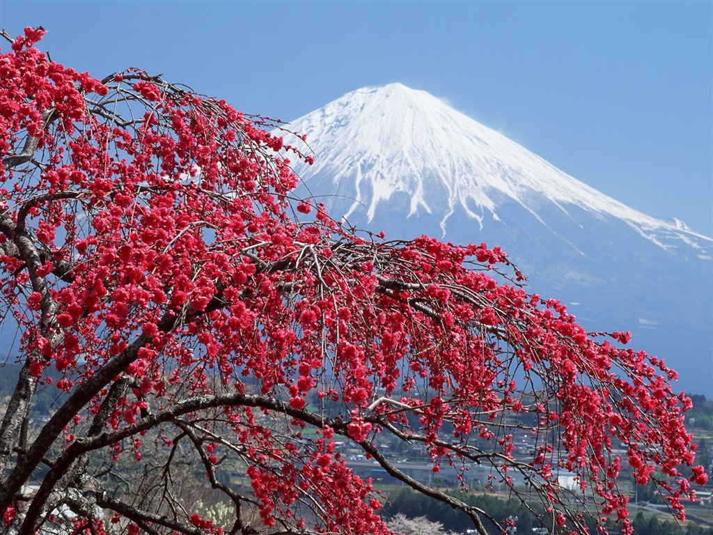 Mount Fuji, Japan wallpaper (1) #1 - 1024x768