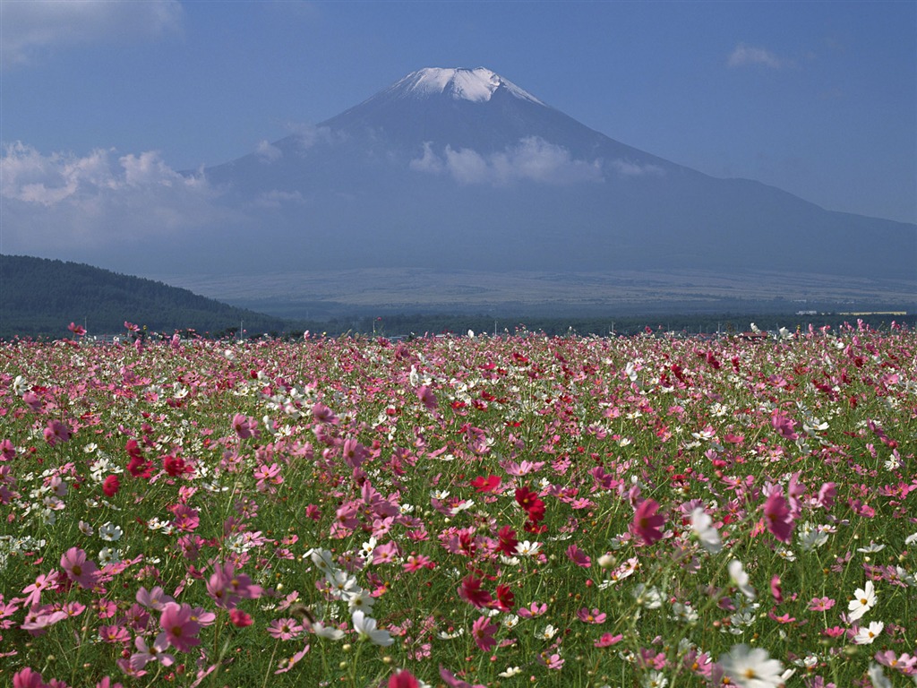 Mount Fuji, Japonsko tapety (1) #20 - 1024x768