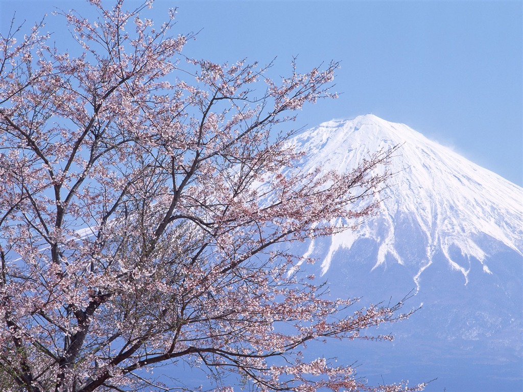 Гора Фудзи, Япония обои (2) #3 - 1024x768