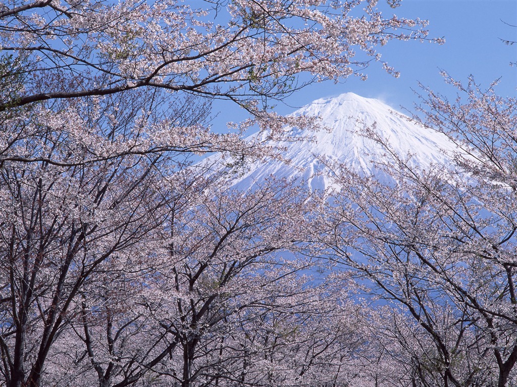 Гора Фудзи, Япония обои (2) #9 - 1024x768