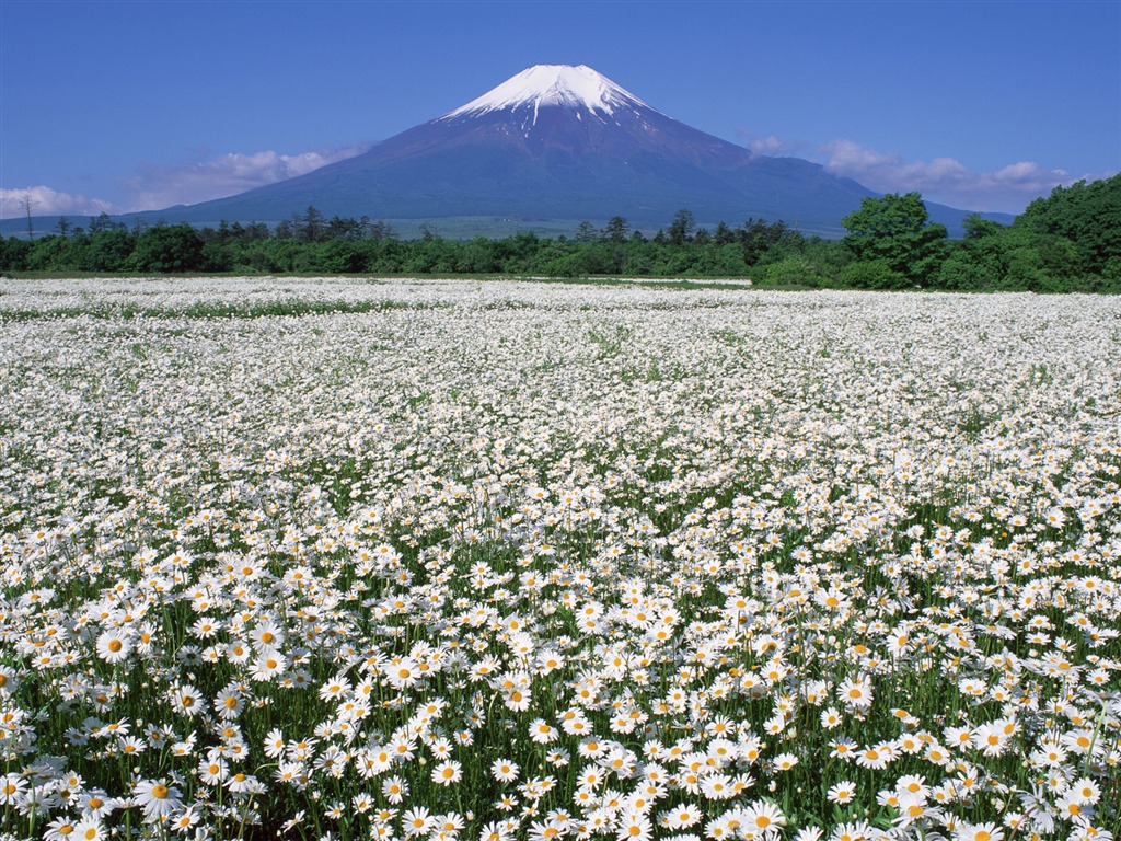 Гора Фудзи, Япония обои (2) #15 - 1024x768