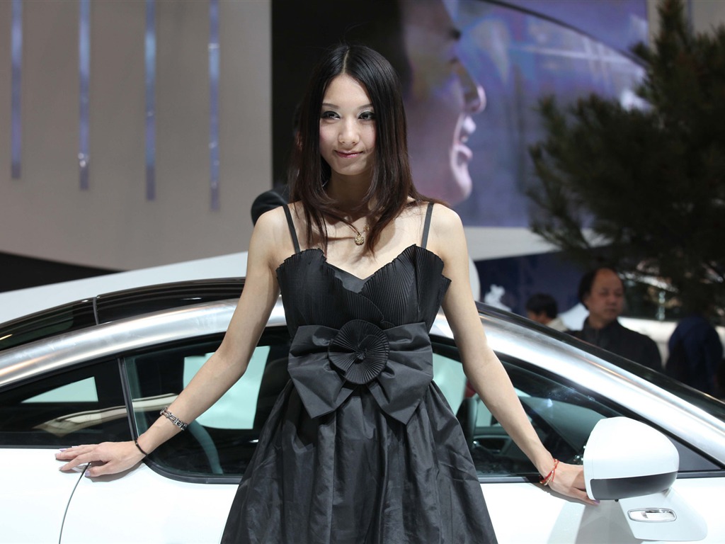 2010 Beijing International Auto Show beauty (2) (the wind chasing the clouds works) #38 - 1024x768