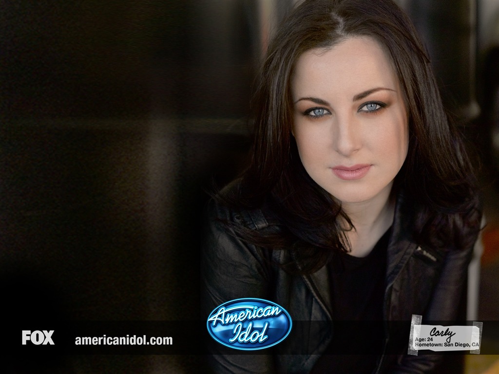 American Idol wallpaper (1) #4 - 1024x768