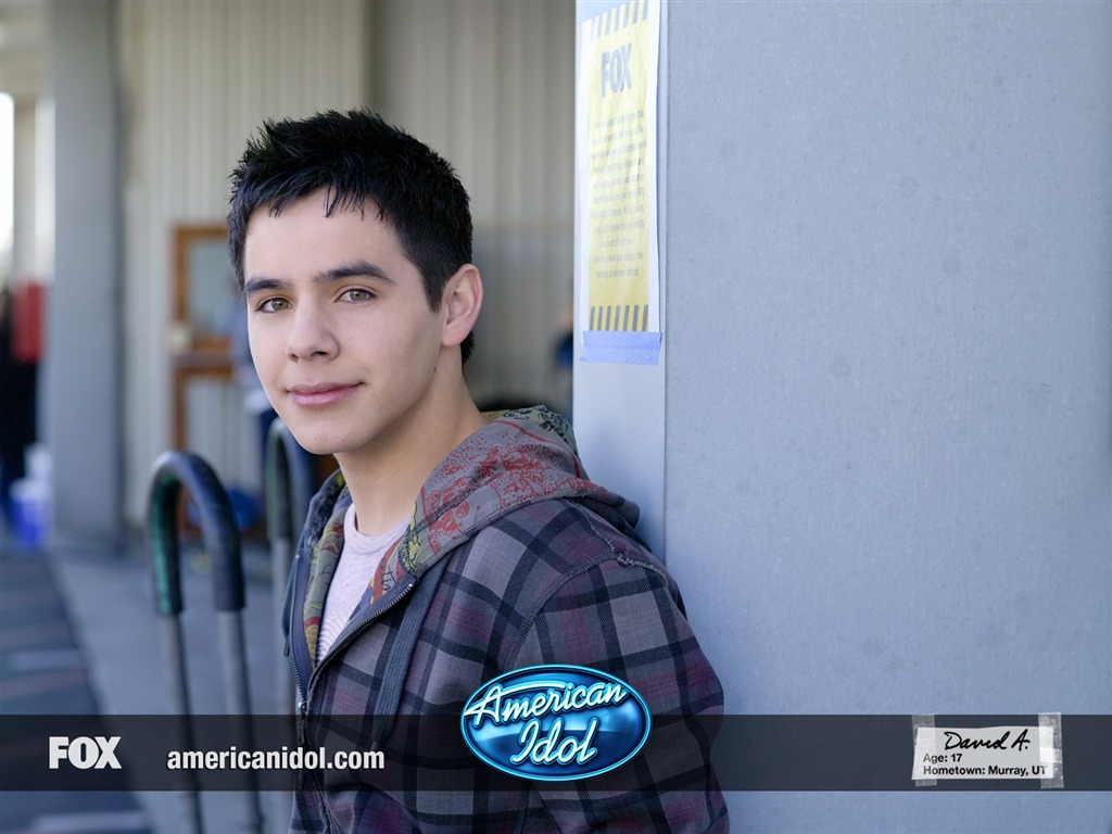 American Idol обои (1) #23 - 1024x768