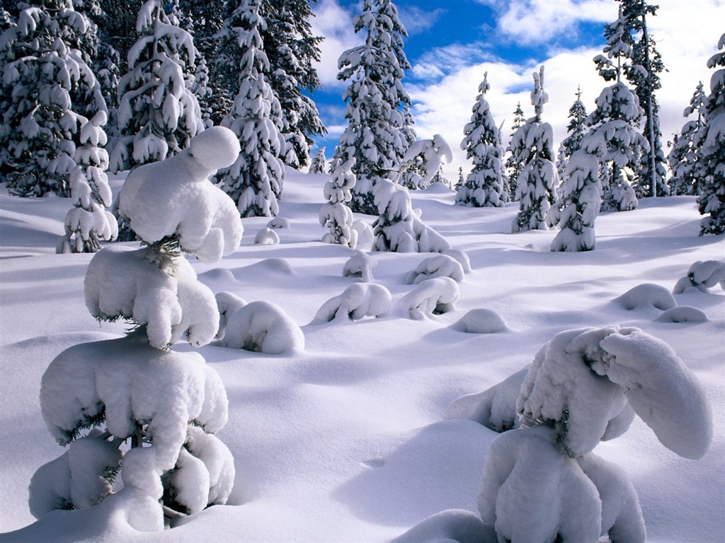 冬天雪景壁纸(二)3 - 1024x768