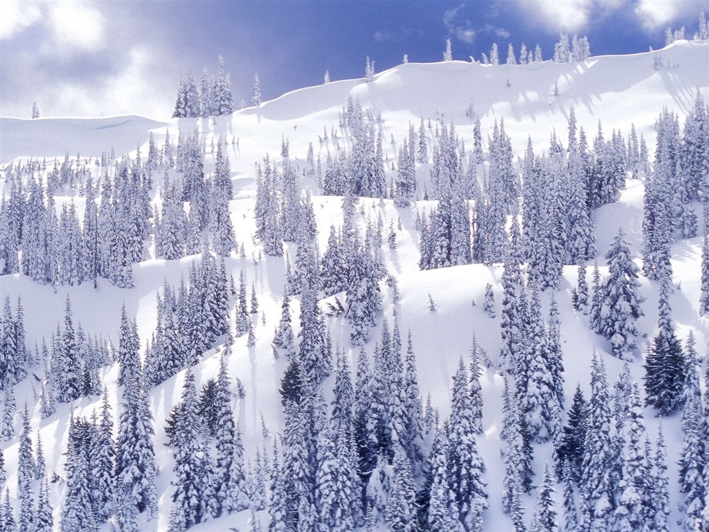 Зима Снег обои (2) #5 - 1024x768