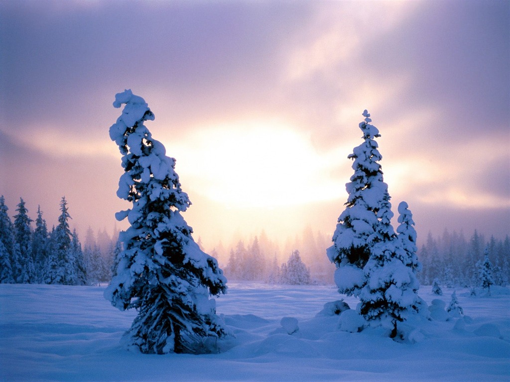 Invierno Nieve fondo de pantalla (2) #6 - 1024x768