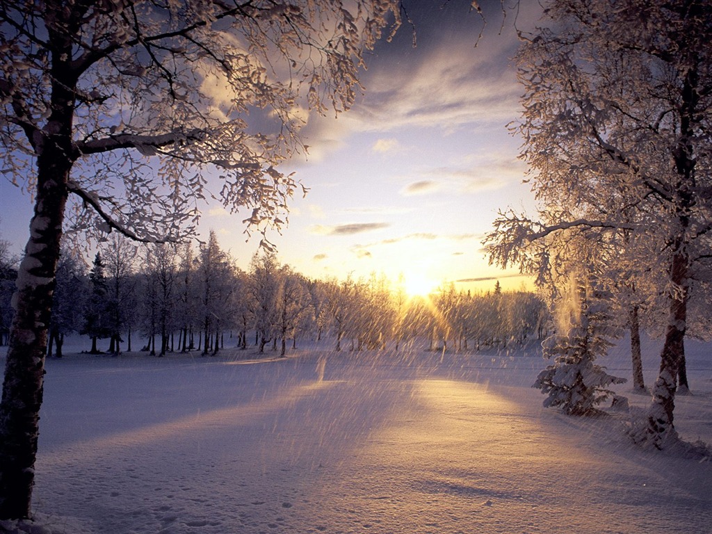 Invierno Nieve fondo de pantalla (2) #8 - 1024x768