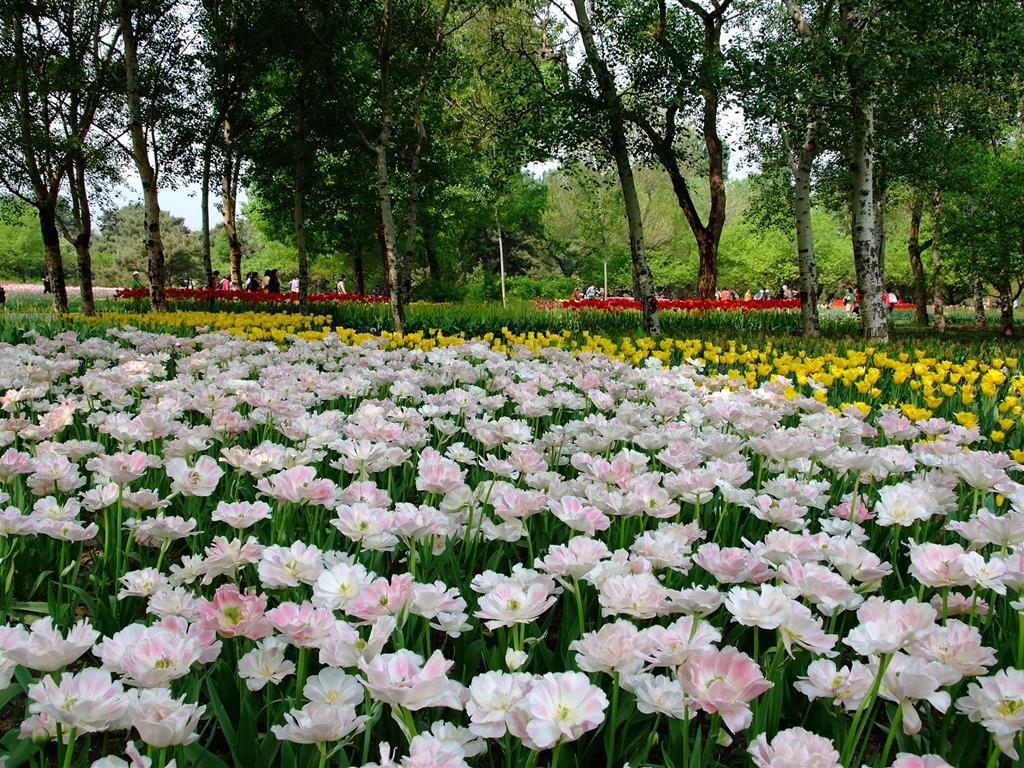 Xiangshan early summer garden (rebar works) #5 - 1024x768