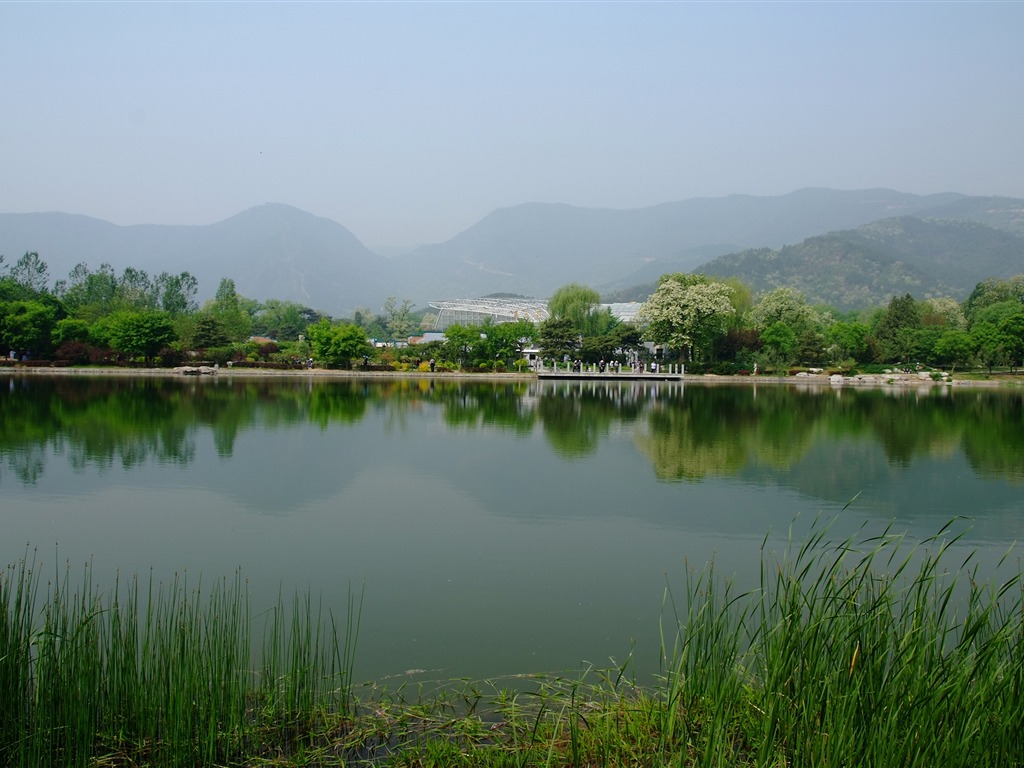初夏的香山植物园 (螺纹钢作品)23 - 1024x768