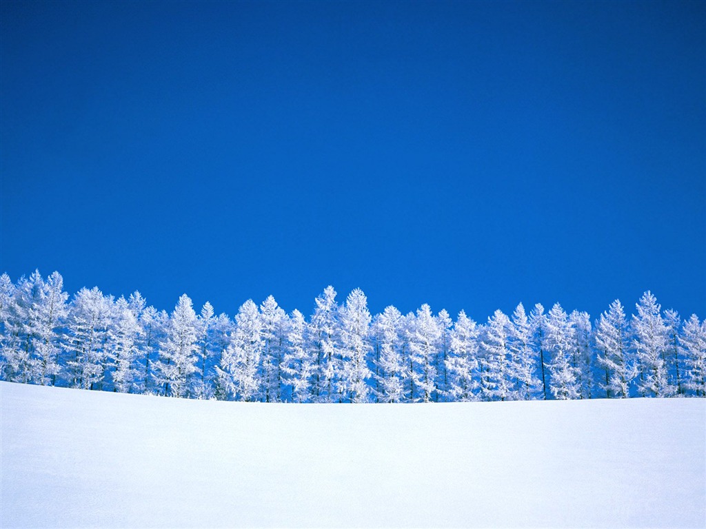 Invierno Nieve fondo de pantalla (3) #8 - 1024x768
