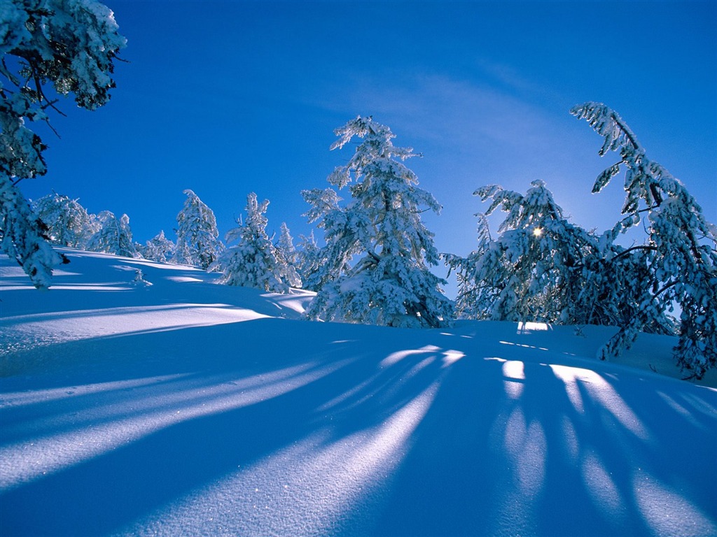 Invierno Nieve fondo de pantalla (3) #14 - 1024x768