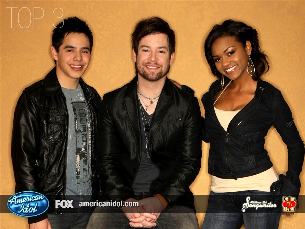 American Idol fondo de pantalla (3) #10 - 1024x768