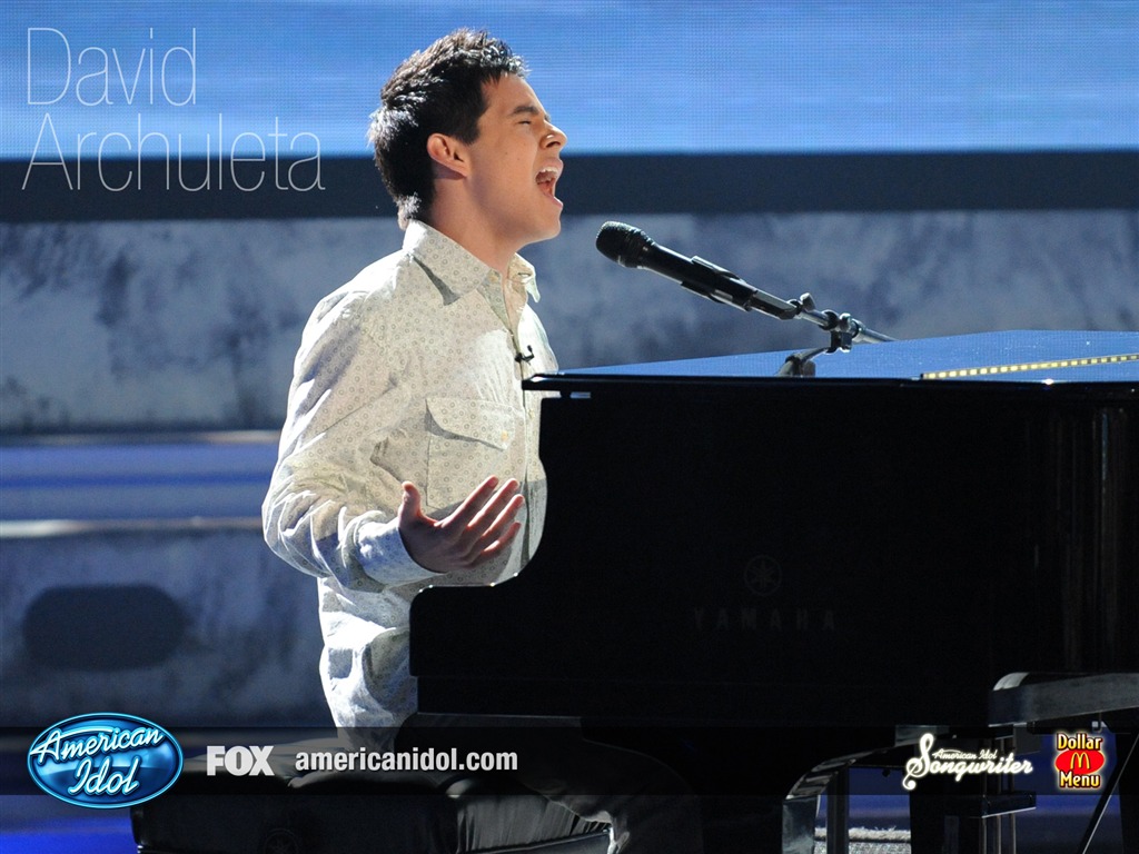 American Idol fondo de pantalla (3) #12 - 1024x768