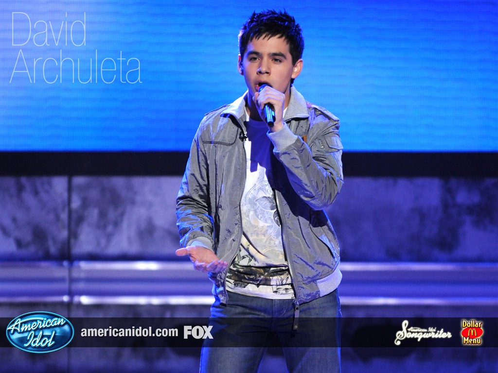American Idol fondo de pantalla (3) #16 - 1024x768