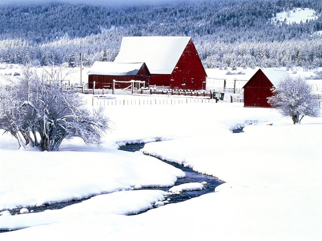 Snow wallpaper collection (1) #20 - 1024x768