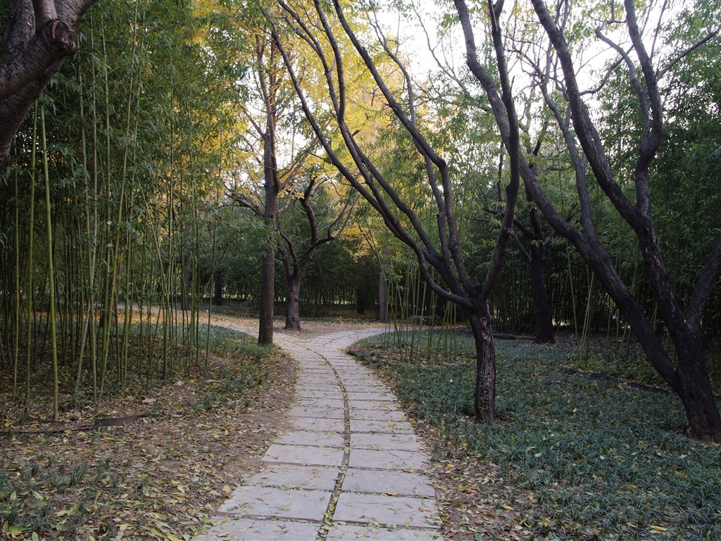 秋日的香山植物园 (螺纹钢作品)9 - 1024x768