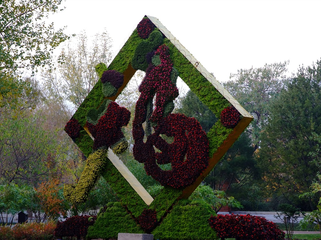秋日的香山植物园 (螺纹钢作品)10 - 1024x768