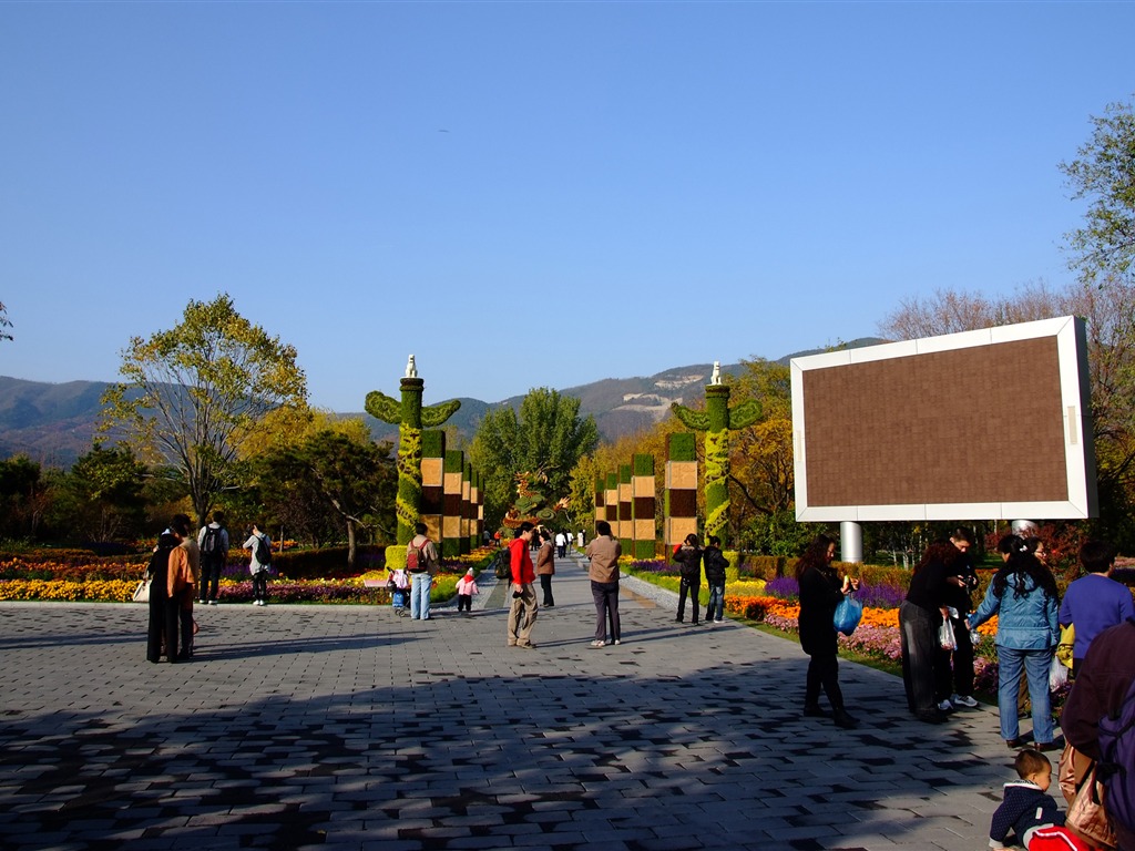 秋日的香山植物园 (螺纹钢作品)12 - 1024x768