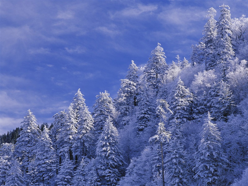 雪山雪景合集 壁纸(三)14 - 1024x768