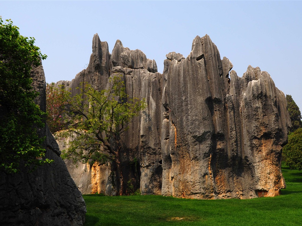 Stone Forest in Yunnan line (1) (Khitan wolf works) #3 - 1024x768