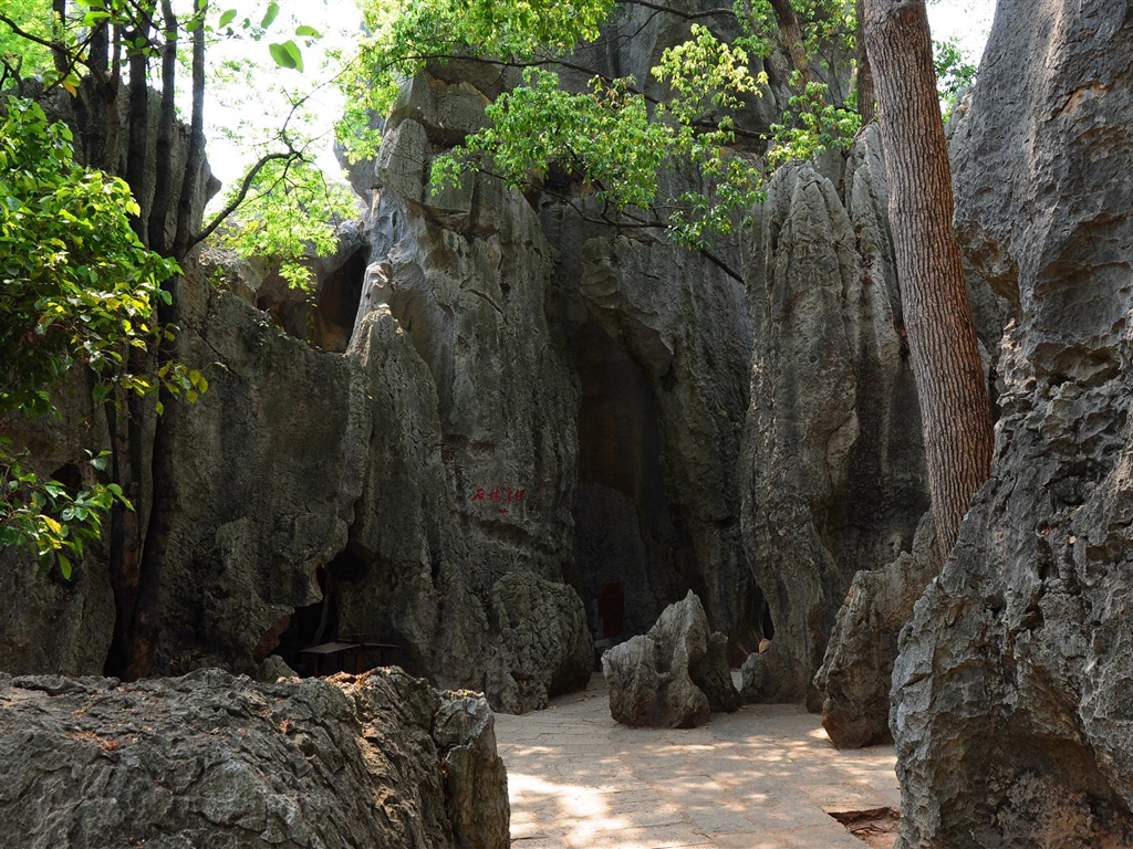 Bosque de Piedras de Yunnan en línea (1) (obras Khitan lobo) #6 - 1024x768