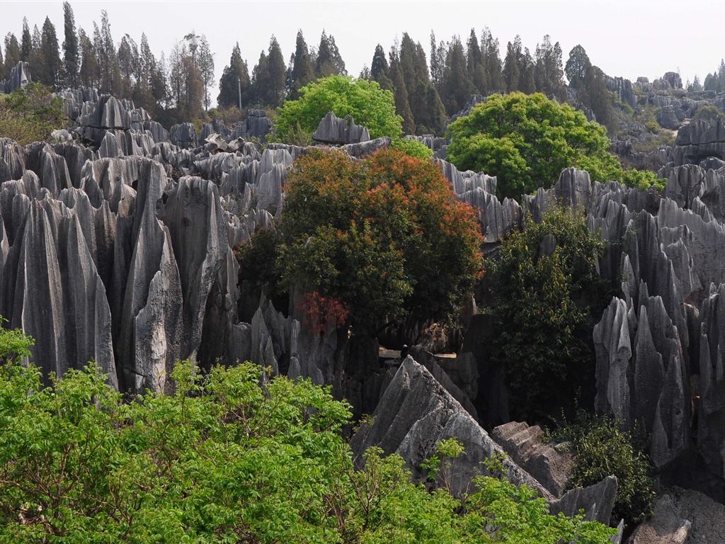 Stone Forest in Yunnan line (1) (Khitan wolf works) #10 - 1024x768