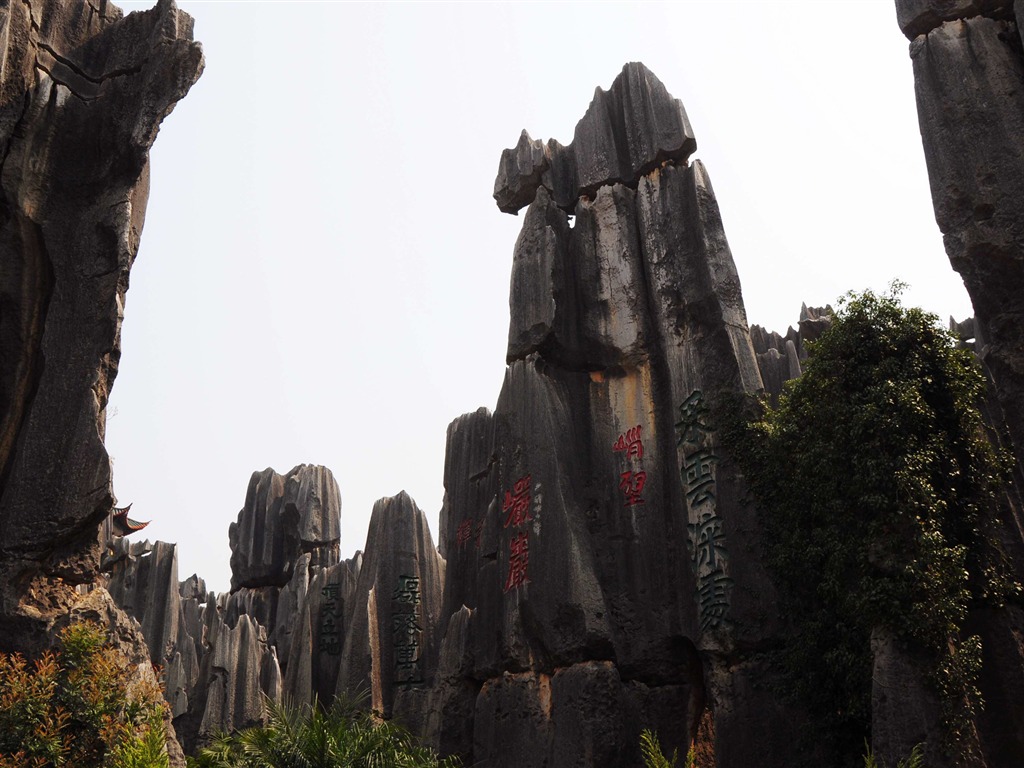 Bosque de Piedras de Yunnan en línea (1) (obras Khitan lobo) #14 - 1024x768